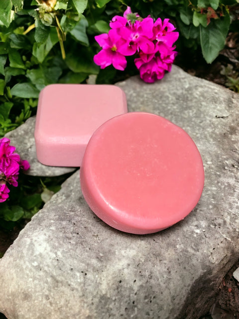 Shampoo & Conditioner Bars Set